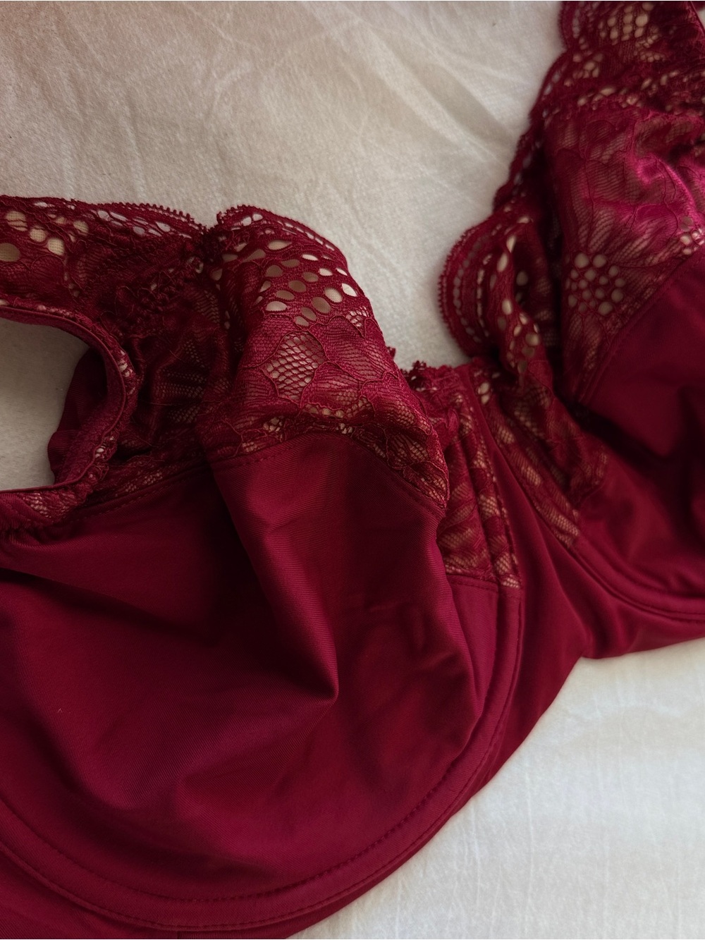Lace-Trim Underwire Bra in Wine - MODERN MOVEMENT 36 DDD